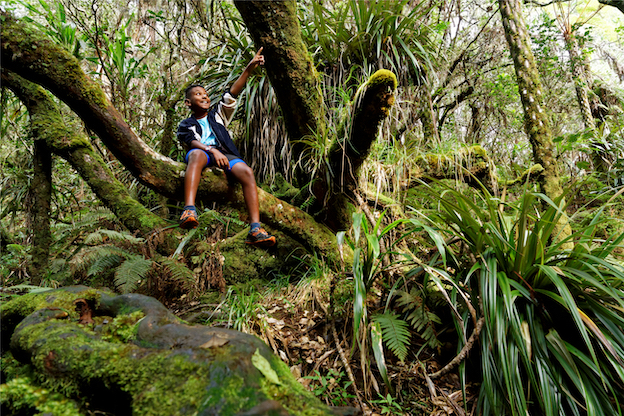 randonnées trou de fer la reunion famille