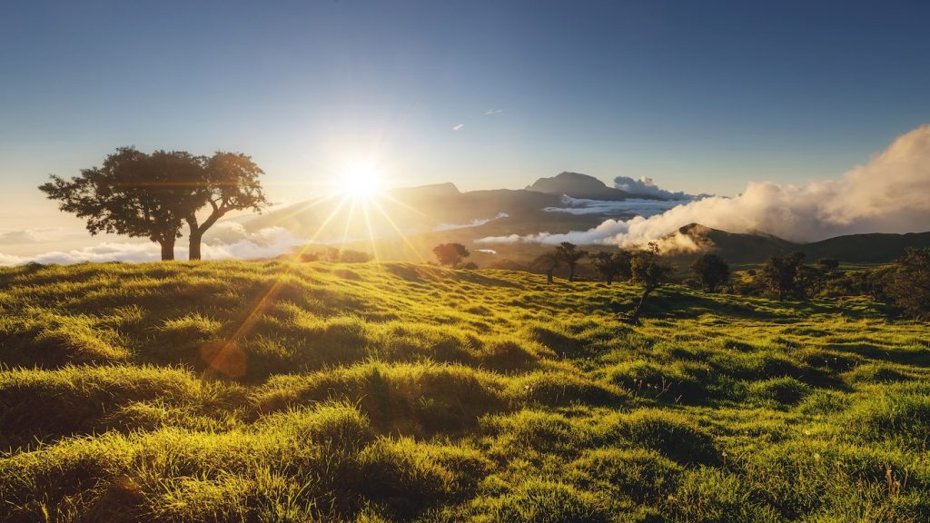 plaine des cafres piton de la fournaise en famille